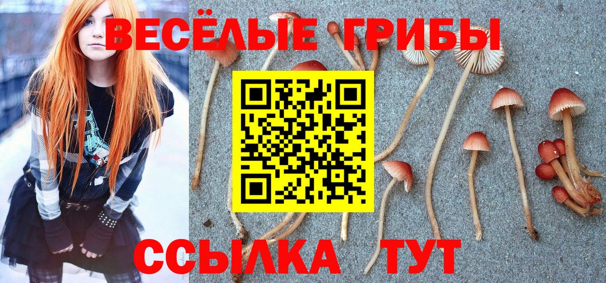 Псилоцибиновые грибы Magic Shrooms  Псилоцибиновые грибы ЛСД  Алушта  Вход с VPN 